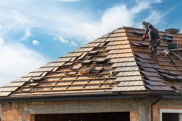 Best Roof Moss and Algae Removal  in Tarpon Springs, FL